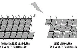 用于溶存鋰資源電化學提取的氮摻雜碳封裝鋰離子篩膜電極