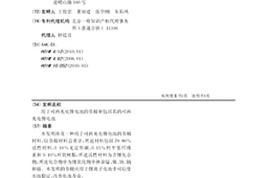 用于可再充電鋰電池的負極和包括其的可再充電鋰電池