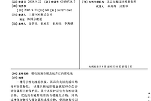 锂电池的负极及包含它的锂电池