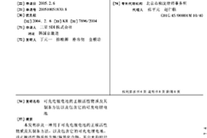 可充电锂电池的正极活性物质及其制备方法以及包含它的可充电锂电池