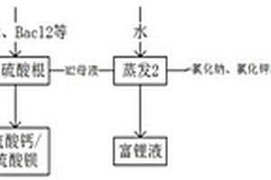 從含鋰、鈉、鉀的混合鹽體系中分別分離出鋰鹽、鈉鹽、鉀鹽的工藝方法