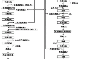 采用硫酸鋰粗礦制備電池級碳酸鋰并回收副產物的方法