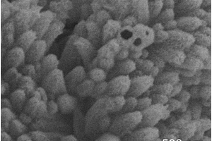 三維管狀結構二氧化錳負載硫的復合材料及制備方法、鋰硫電池正極及鋰硫電池