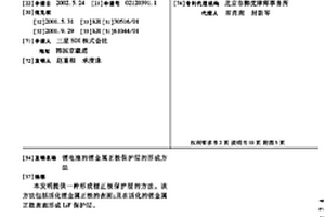 鋰電池的鋰金屬正極保護層的形成方法