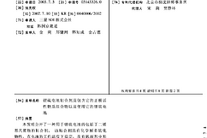鋰硫電池粘合劑及包含它的正極活性物質組合物以及使用它的鋰硫電池
