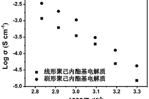 聚酯基刷形聚合物电解质及其制备和应用