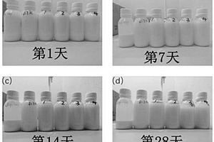水性高分子功能漿料及其制備方法和應用