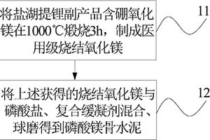 磷酸鎂骨水泥及其制備方法和應用