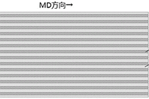 碳集流體及包括該碳集流體的電化學裝置和電子裝置