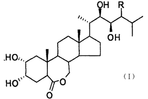 油菜素內酯及其類似物的綠色合成方法