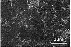 二維氮化鈦?碳納米管復合膜及其制備方法