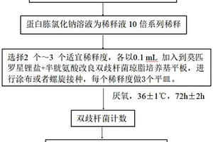 用于雙歧桿菌培養的組合式稀釋液及其使用方法和雙歧桿菌的檢測方法