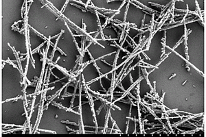 β-MnO<Sub>2</Sub>@Co<Sub>3</Sub>O<Sub>4</Sub>復合材料及其制備方法和應用