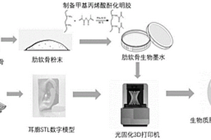基于肋軟骨的3D打印生物墨水及其制備方法與應用