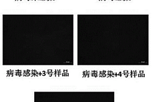 超耐磨長效抗菌抗病毒納米涂料及其制備方法
