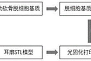 基于脫細胞肋軟骨基質的3D打印生物墨水及其制備方法與應用