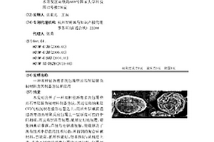 雙粒徑瀝青多次包覆整形石墨硅碳負極材料及其制備方法和應用