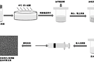 絲素蛋白提取方法、基于絲素蛋白/松蘿酸的復合皮膚支架及其制備方法
