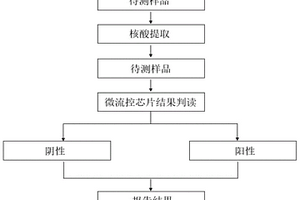 能同時檢測副溶血弧菌4個毒力基因的引物以及試劑盒