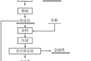 用水氯鎂石生產氫氧化鎂、鎂和鎂鋁尖晶石的方法