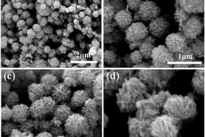 花球狀TiO<sub>2</sub>/MoO2復合納米材料、制備方法及應用