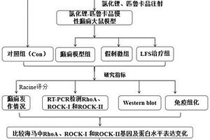 慢性癲癇大鼠模型的構建及其用途