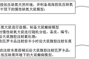 高原低壓缺氧環境下大鼠癲癇模型的建立方法