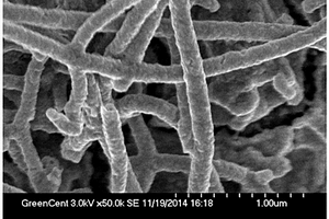 生物質基二氧化錳-碳纖維復合材料及其制備方法
