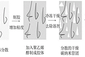 高分散易儲存的改性碳納米管粉體及其制備方法和用途