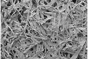 PVDF-HFP復合木質纖維素凝膠聚合物電解質膜及其制備方法