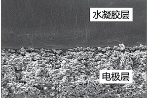 一體化成型的水凝膠固態超級電容器及其制備方法