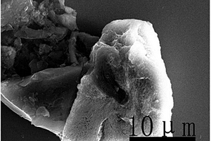 生物硅碳材料的制備方法、生物硅碳材料及應用