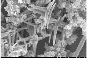 核殼結構的十字星狀Cu/Cu<sub>2</sub>O/CuO@Ppy復合材料及其制備方法和應用