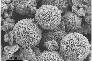 絲膠碳膜包覆Co<sub>3</sub>O<sub>4</sub>多孔微球復合材料及制備方法