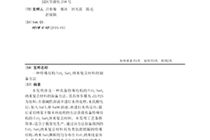 特殊結構TiO2-SnO2納米復合材料的制備方法