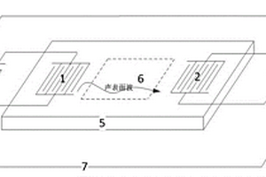 用于可揮發有機污染物探測的聲表面波傳感器