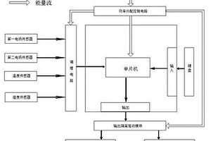 便攜式場強探測終端