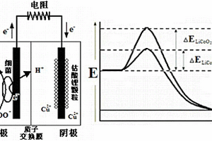 提高微生物燃料電池浸取鈷酸鋰中Co(III)的方法