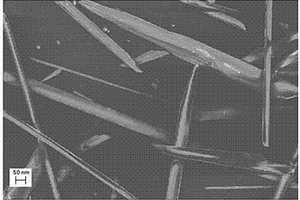 高循環性能鋰離子電池負極材料Fe<sub>2</sub>O<sub>3</sub>納米針葉的制備方法