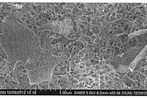 鋰離子二次電池用碳納米管和石墨烯復配導電漿料