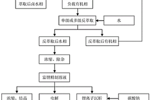 用仲酰胺/磷酸三烷酯復合溶劑從含鎂鹵水中分離鎂提取鋰的萃取體系、萃取方法和其應用