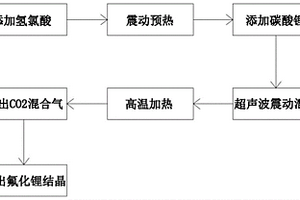氟化鋰超聲動態反應結晶工藝及其超聲動態反應結晶設備