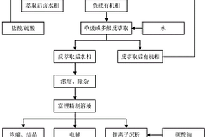 用仲酰胺/烷基酮復合溶劑從含鈣鹵水中分離鈣提取鋰的萃取體系、萃取方法和其應用