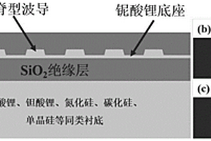 基于周期極化鈮酸鋰薄膜波導結構的上轉換單光子探測器
