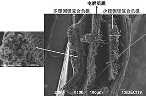兼具高電子/離子傳輸特性的固態復合金屬鋰負極及其制備方法和應用