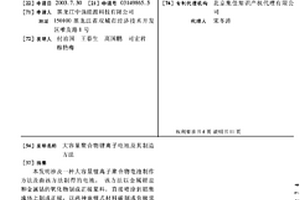 大容量聚合物鋰離子電池及其制造方法