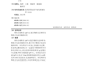 兩步合成核殼Ag@TiO2復合物的方法和作為鋰離子電池負極的應用