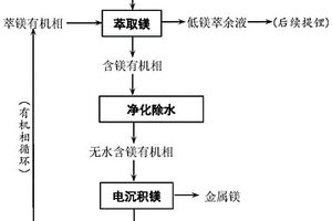 從鹵水中分離鋰鎂及生產金屬鎂的方法