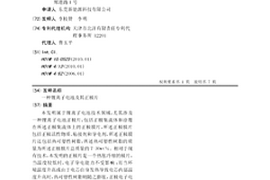 鋰離子電池及其正極片