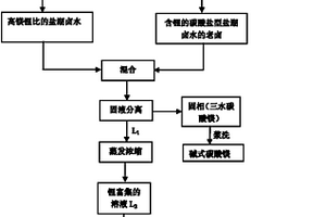 從鹽湖鹵水中提取鋰、鎂的方法